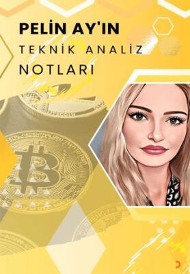 Cinius Yayınevi Pelin Ay’In Teknik Analiz Notları & Pelin Ay - Pelin Ay kitap kapağı