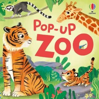 Pop-Up Zoo - Micaela Tapsell kitap kapağı