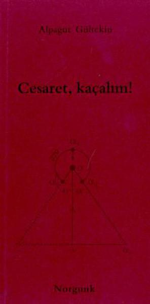 CesaretKaçalım! | Norgunk Yayıncılık (İnce Kapak) - Resim 1