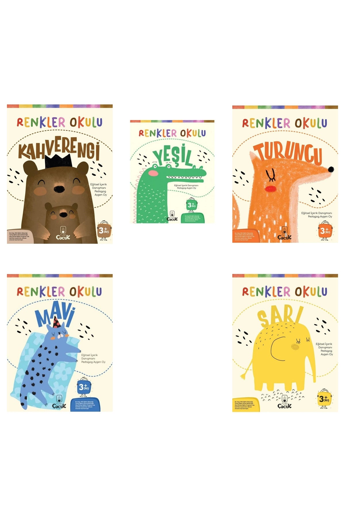 Renkler Okulu 5 Kitap-Turuncu -Yeşil-Mavi-Kahverengi-Sarı - Pedagog Ayşen Oy kitap kapağı