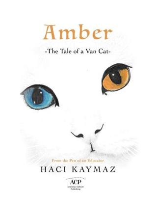 Amber | Çıra Yayınları (Ciltsiz) - Resim 1