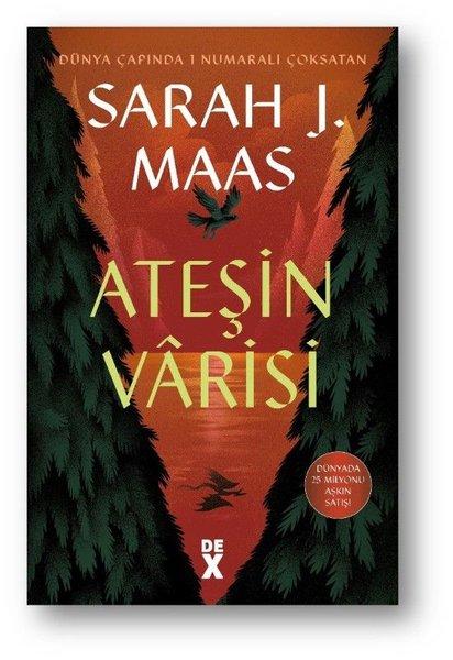 Ateşin Varisi | DEX (Ciltli) - Resim 1