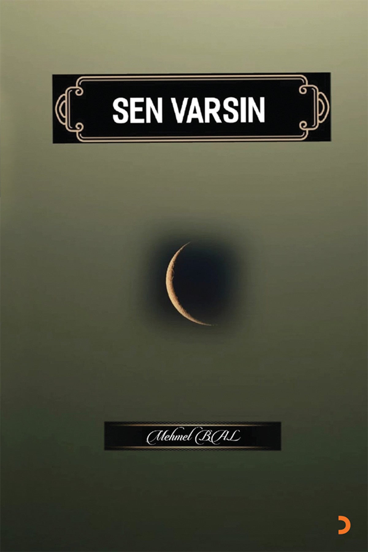 Sen Varsın & Mehmet Bal kitap kapağı