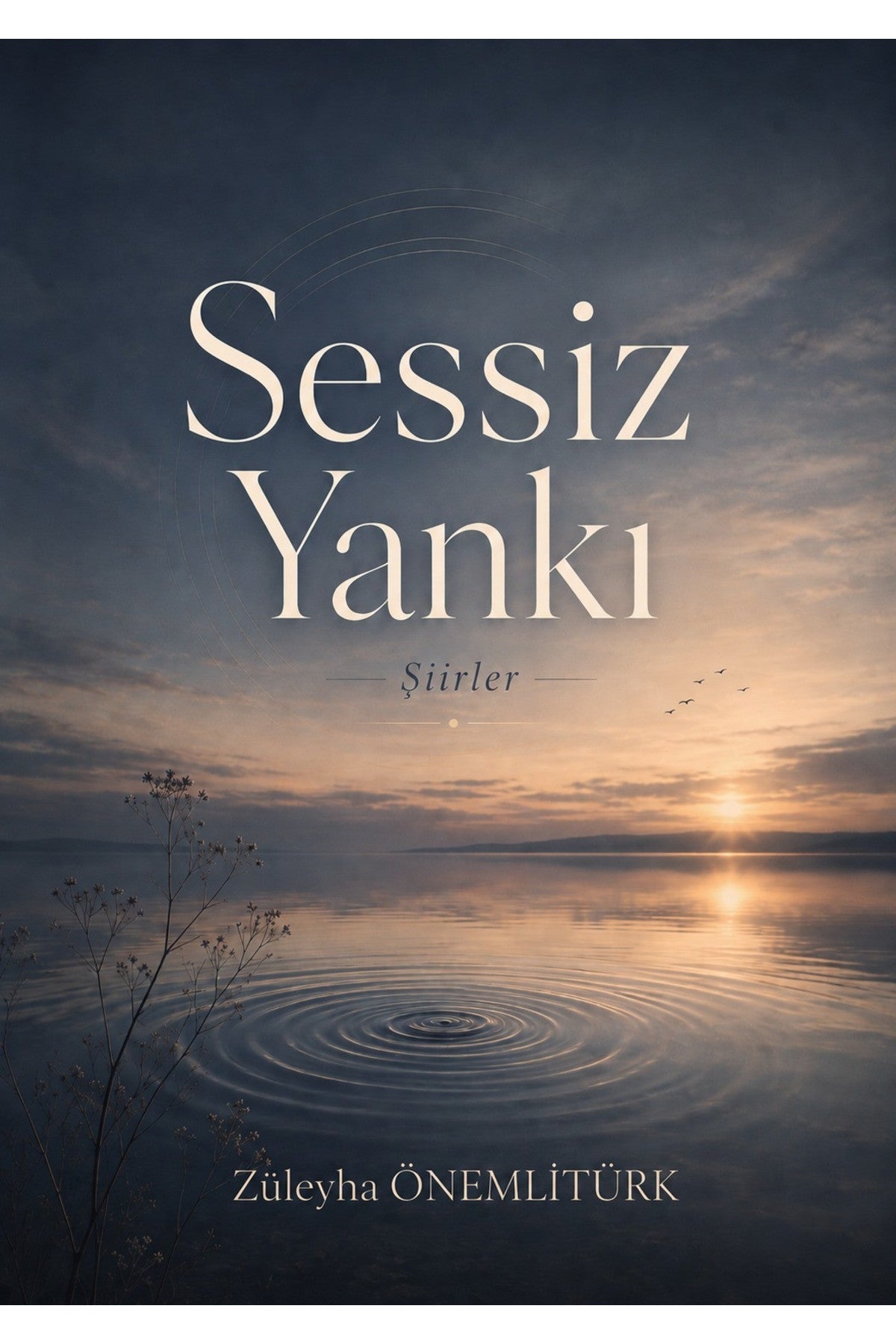 Sessiz Yankı kitap kapağı
