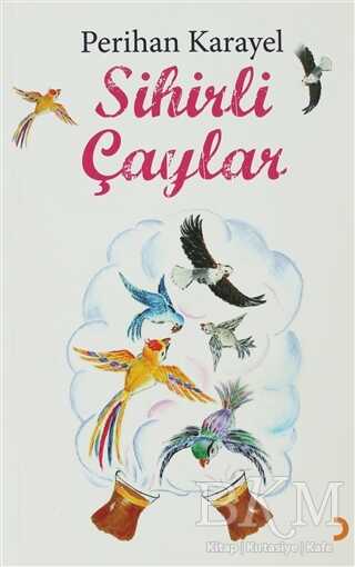 Sihirli Çaylar - Perihan Karayel kitap kapağı