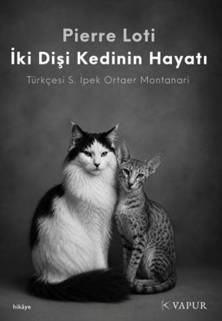 İki Dişi Kedinin Hayatı | Vapur Yayınları (Ciltsiz) - Resim 1