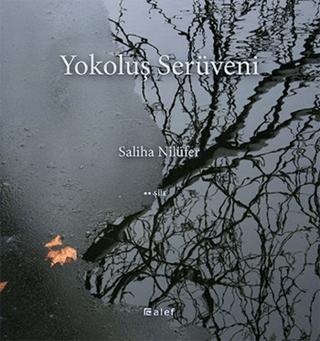 Yokoluş Serüveni | Alef Yayınevi (Ciltsiz) - Resim 1