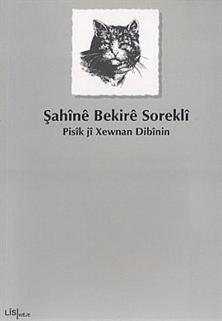 Pisik ji Xewnan Dibinin