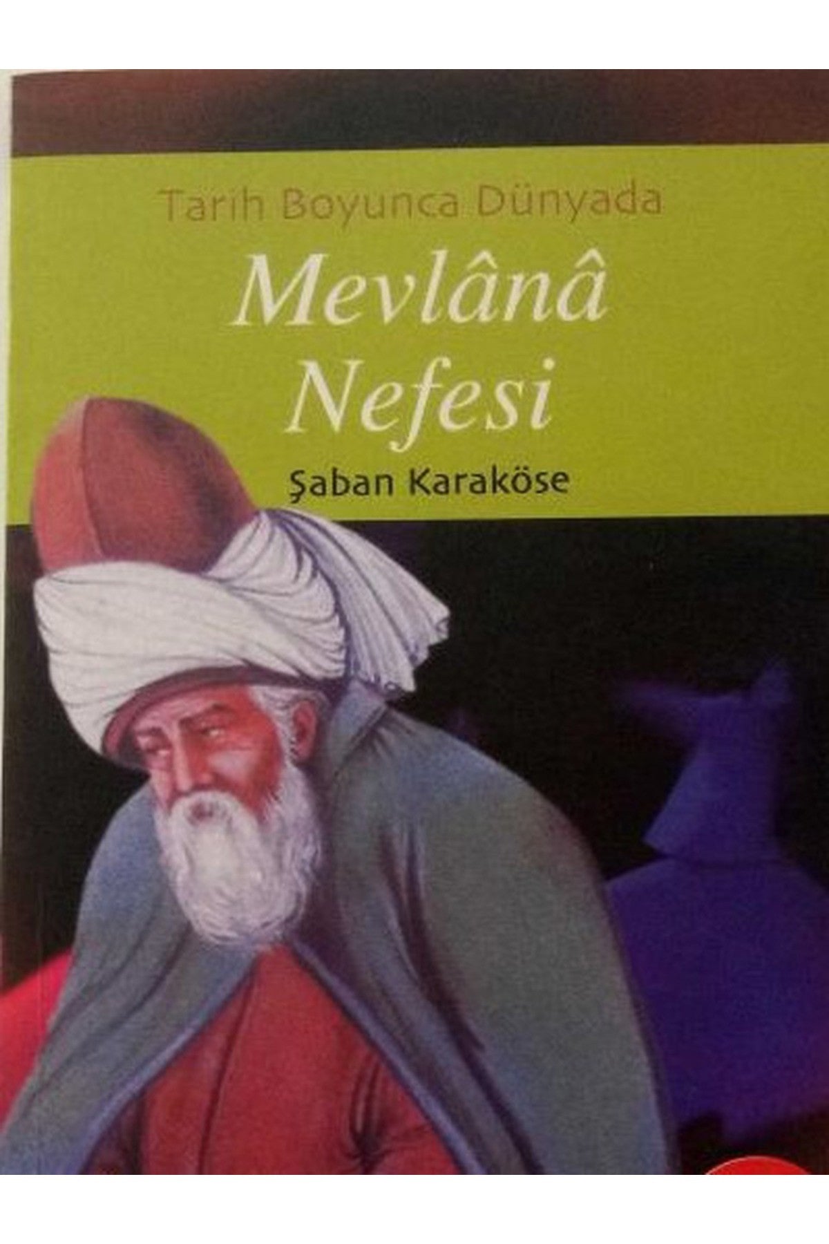 Tarih Boyunca Dünyada Mevlana Nefesi - Şaban Karaköse kitap kapağı
