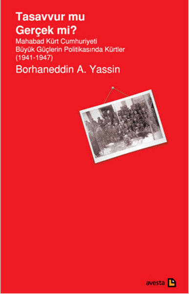 Tasavvur mu Gerçek mi? - Borhaneddin A. Yassin kitap kapağı