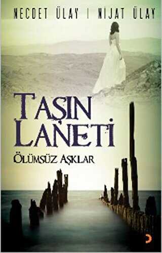 Taşın Laneti - Necdet Ülay kitap kapağı