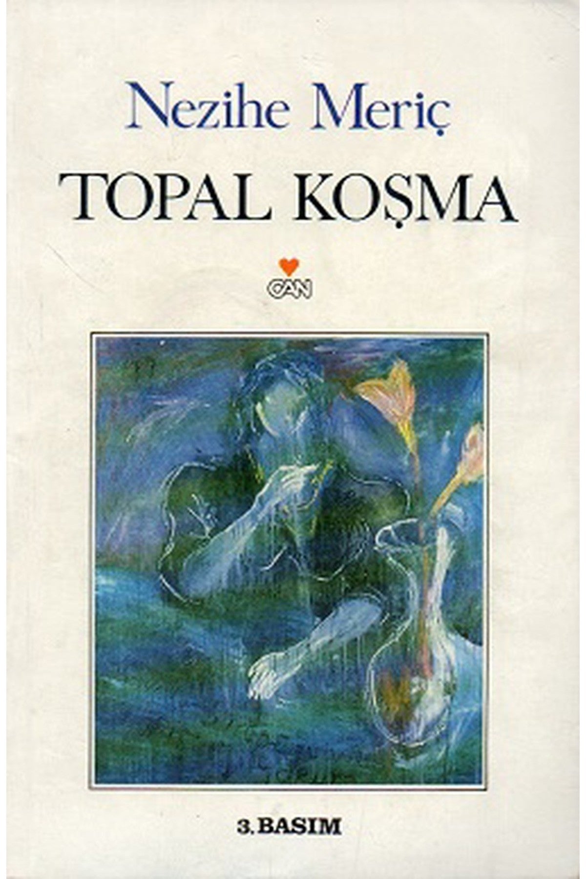 Topal Koşma - Nezihe Meriç (1992 Basım) kitap kapağı