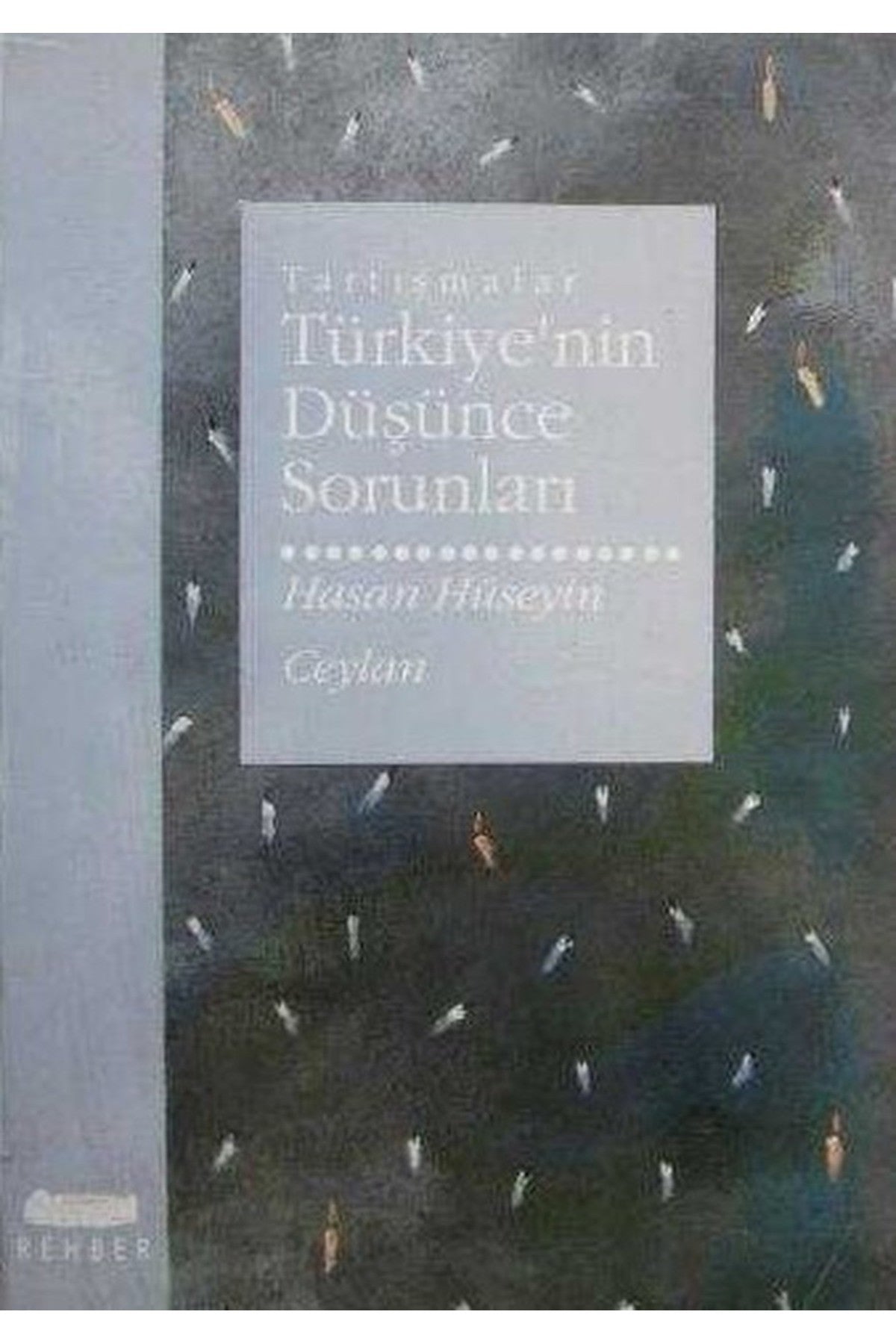 Türkiyenin Düşünce Sorunları - Hasan Hüseyin Ceylan (1991 Basım) kitap kapağı