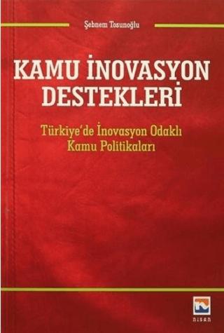 Kamu İnovasyon Destekleri