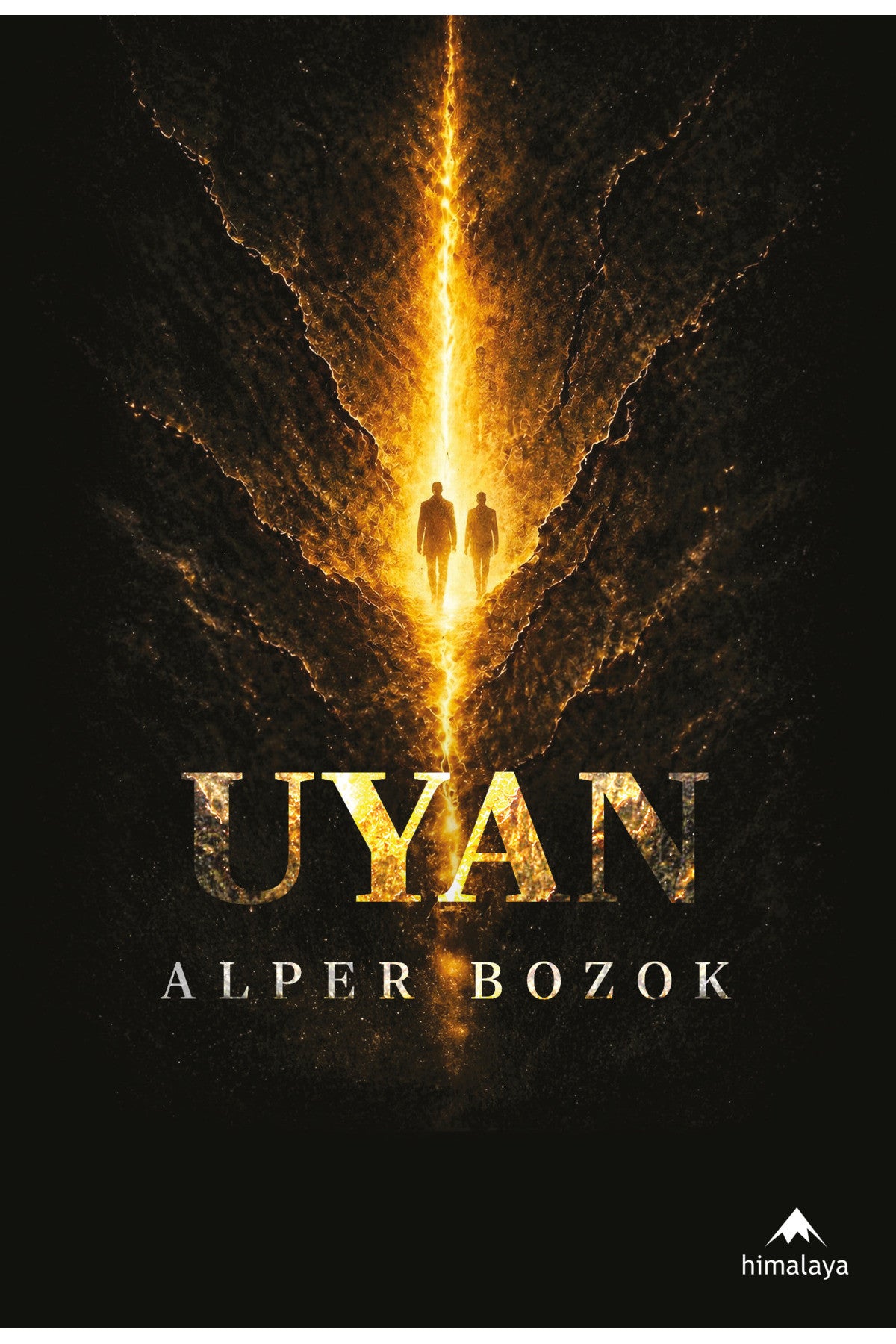 Uyan kitap kapağı