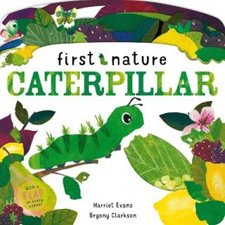 Caterpillar | Little Tiger Group (Ciltli) - Resim 1