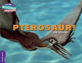 Pterosaur! | Cambridge Yayınları (Ciltsiz) - Resim 1