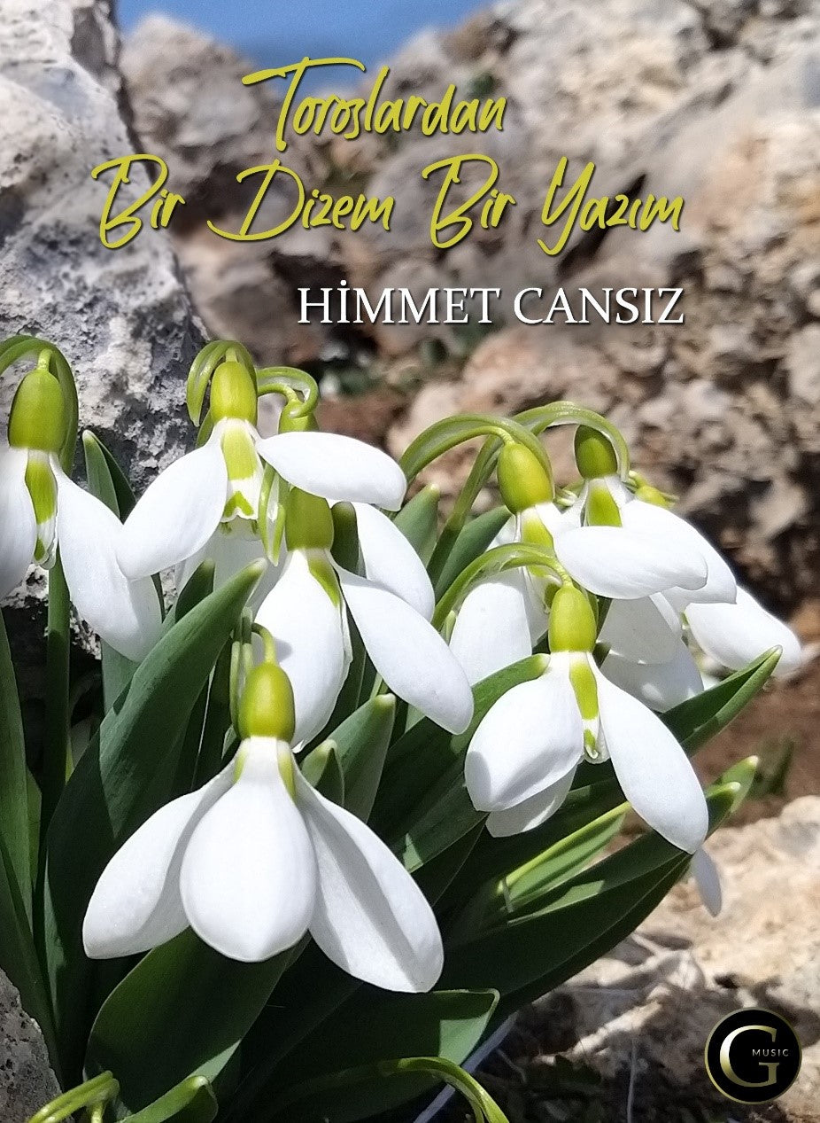 Toroslaran Bir Dizem Bir Yazım - Himmet Cansız kitap kapağı