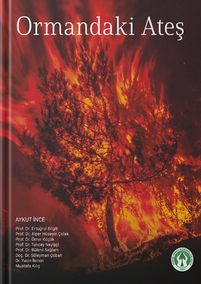 Ormandaki Ateş - Aykut İnce kitap kapağı