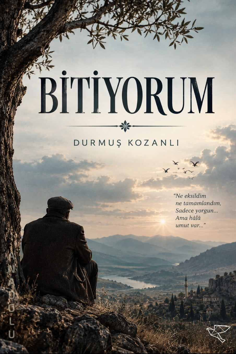 Bitiyorum - Durmuş Kozanlı kitap kapağı