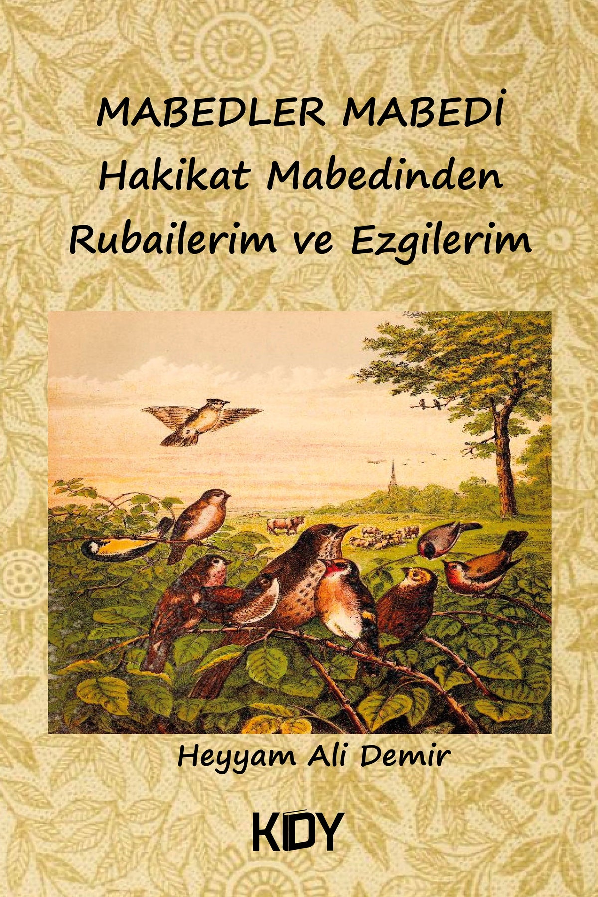 Mabedler Mabedi Hakikat Mabedinden Rubailerim ve Ezgilerim - Heyyam Ali Demir kitap kapağı