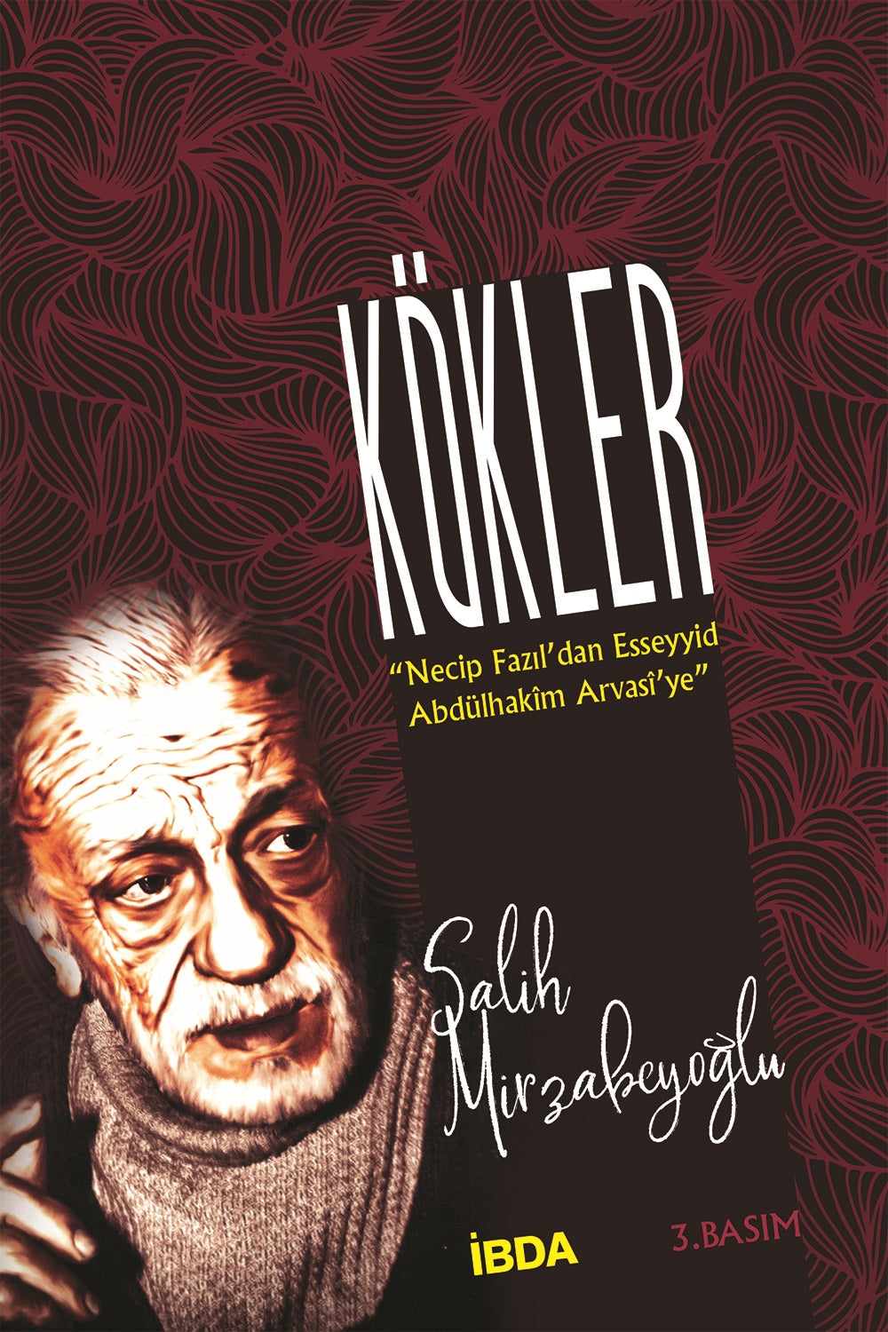 Kökler - Salih Mirzabeyoğlu kitap kapağı