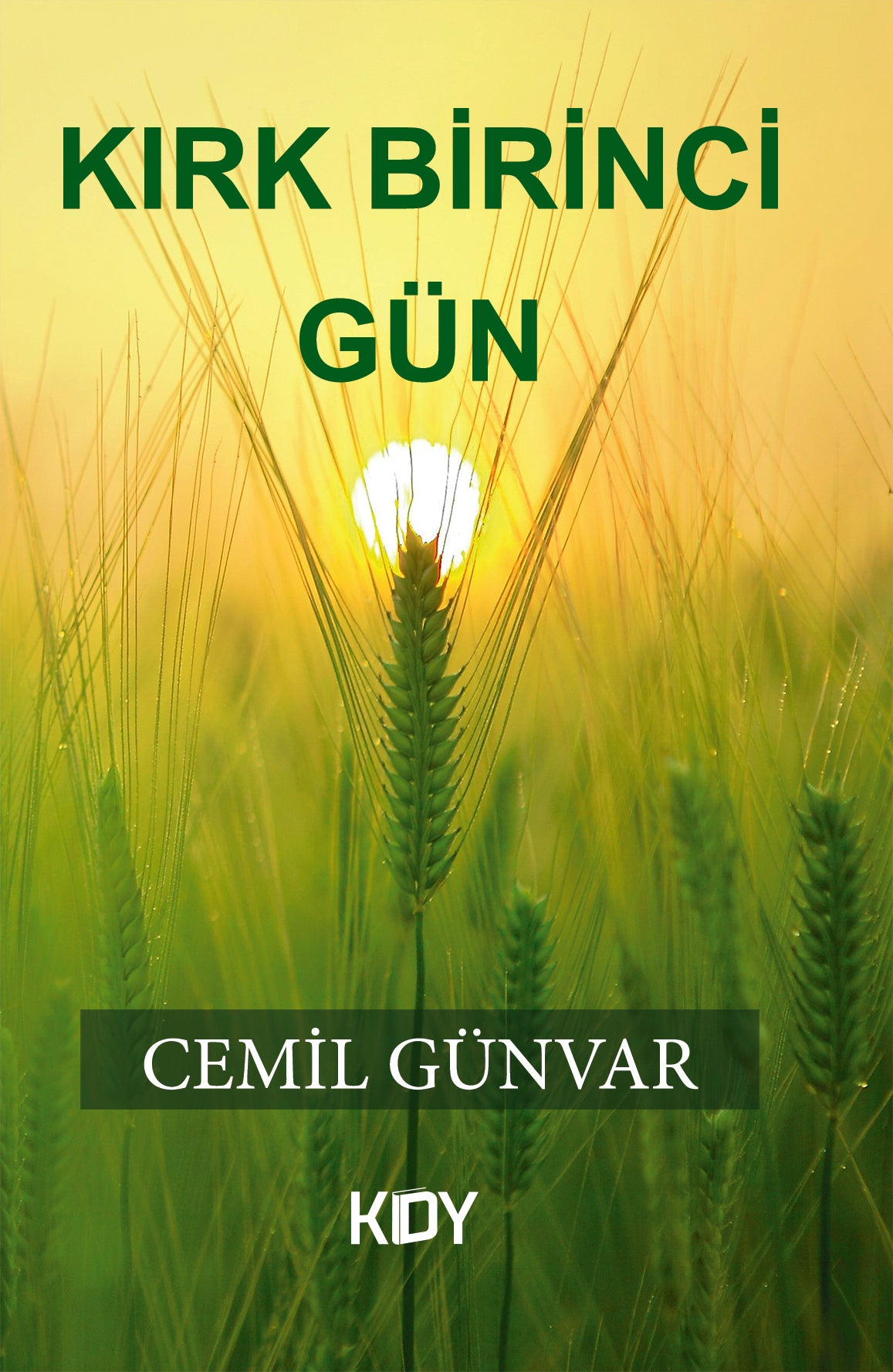 Kırk Birinci Gün - Cemil Günvar kitap kapağı