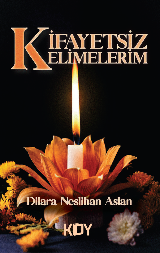 Kifayetsiz Kelimelerim - Dilara Neslihan Aslan kitap kapağı