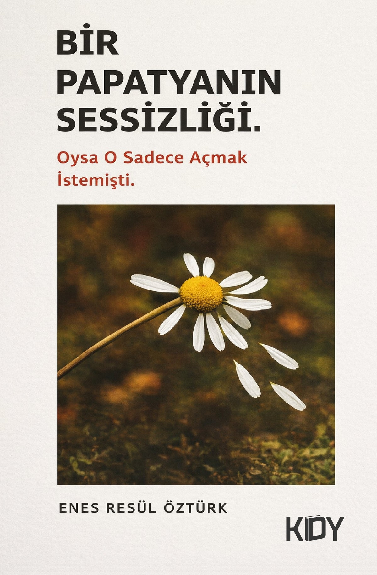 Bir Papatyanın Sessizliği - Enes Resül Öztürk kitap kapağı