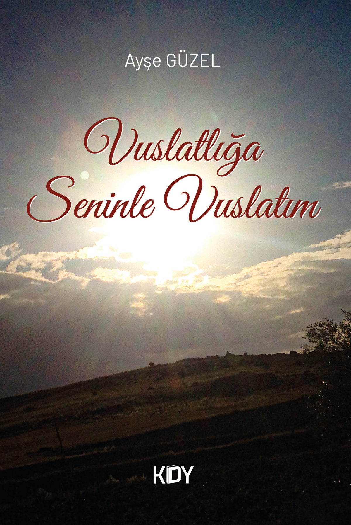 Vuslatlığa Seninle Vuslatım - Ayşe Güzel kitap kapağı