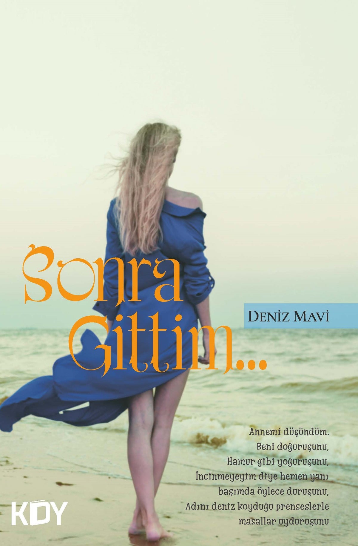 Sonra Gittim - Deniz Mavi kitap kapağı