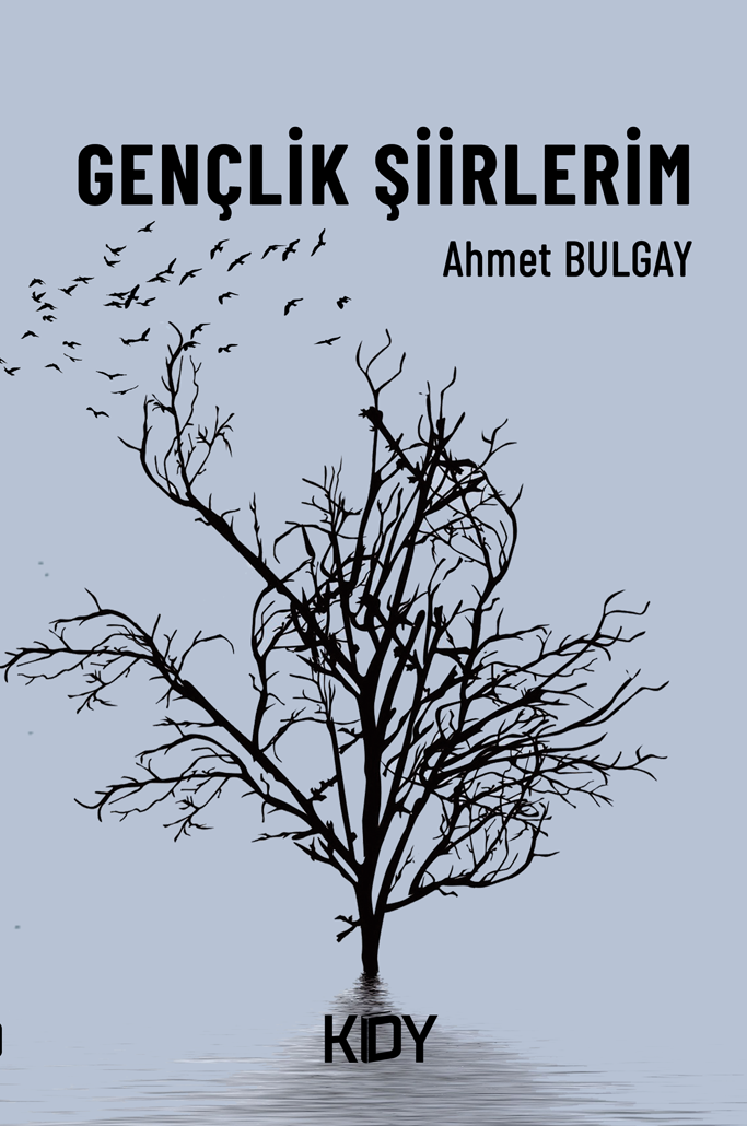 Gençlik Şiirlerim - Ahmet Bulgay kitap kapağı
