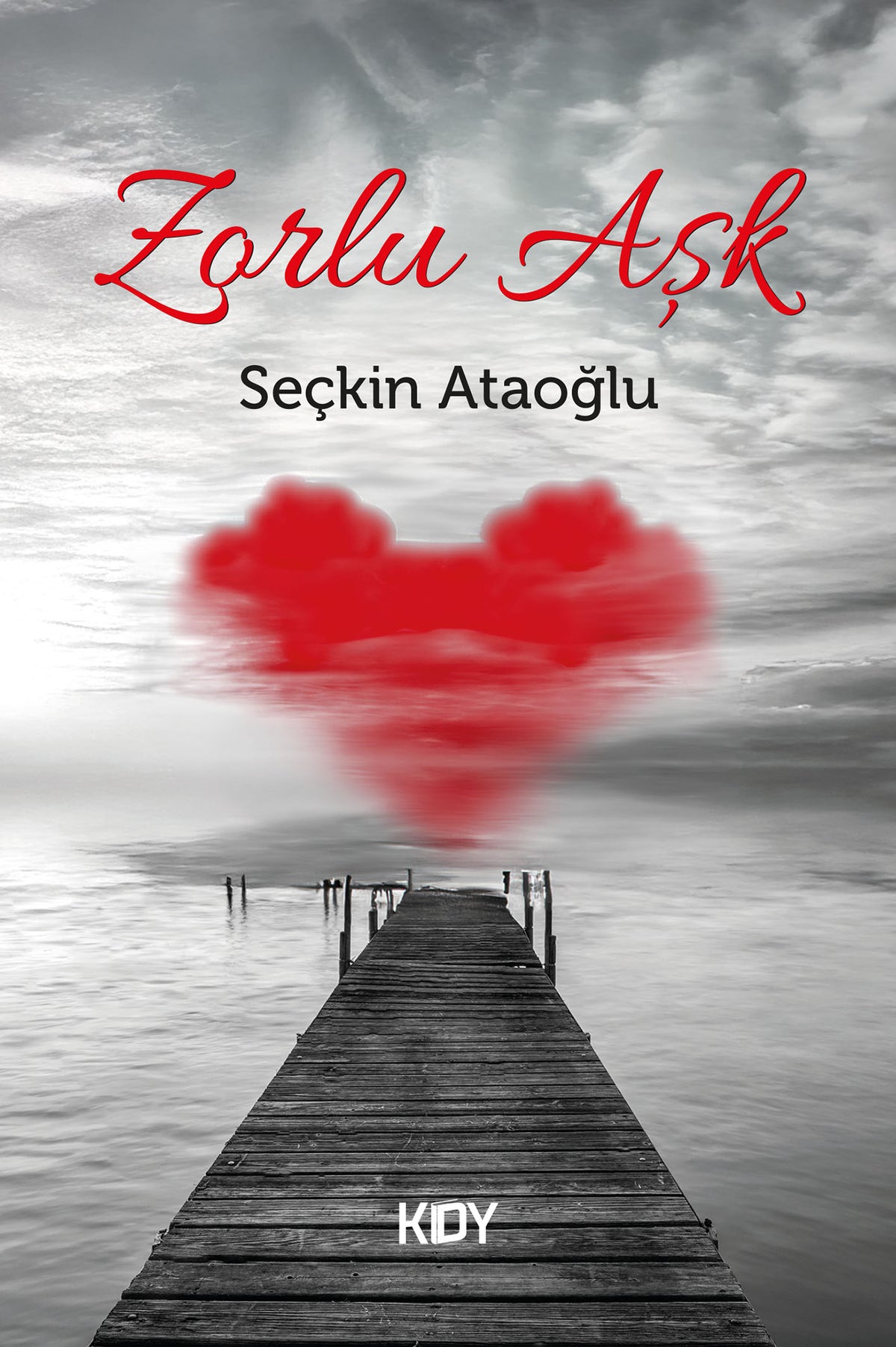 Zorlu Aşk - Seçkin Ataoğlu kitap kapağı