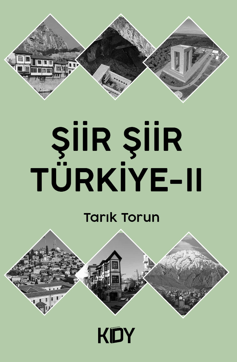 Şiir Şiir Türkiye 2 - Tarık Torun kitap kapağı