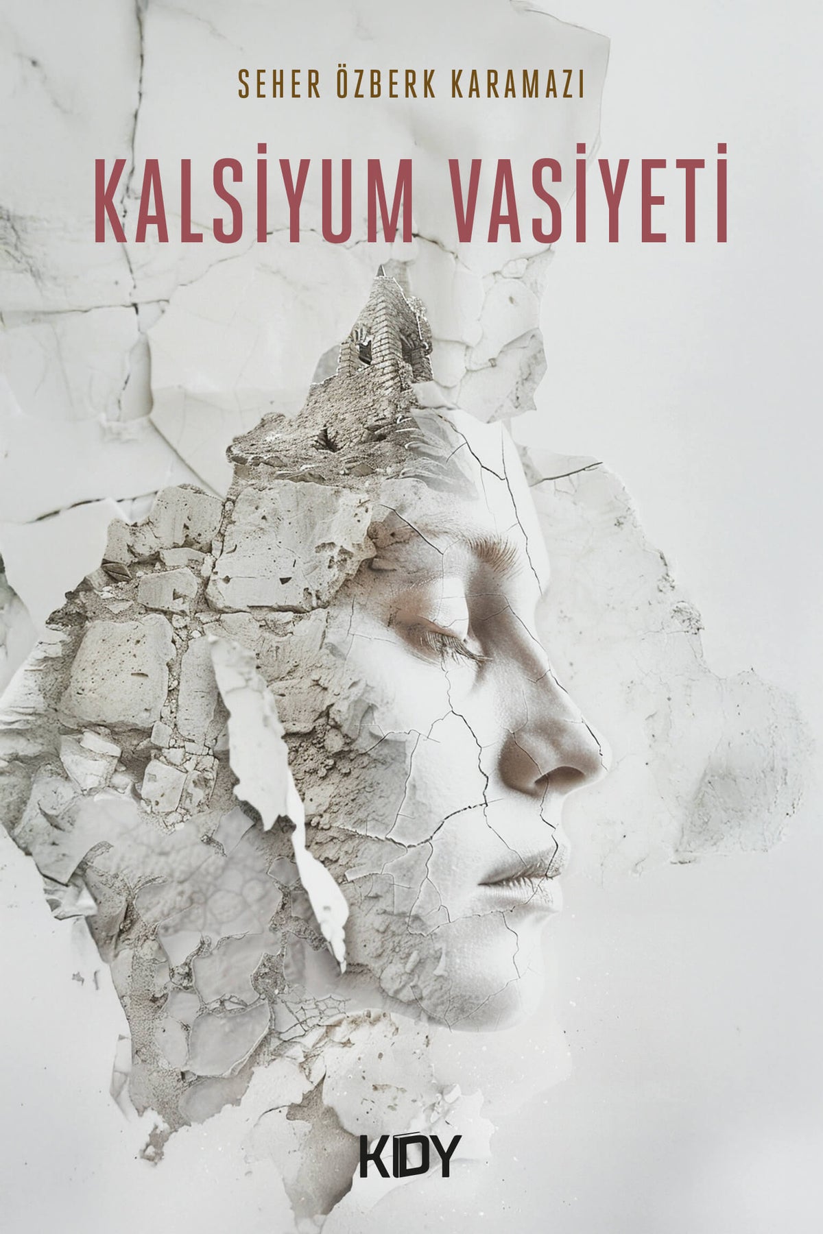 Kalsiyum Vasiyeti - Seher Özberk Karamazı kitap kapağı