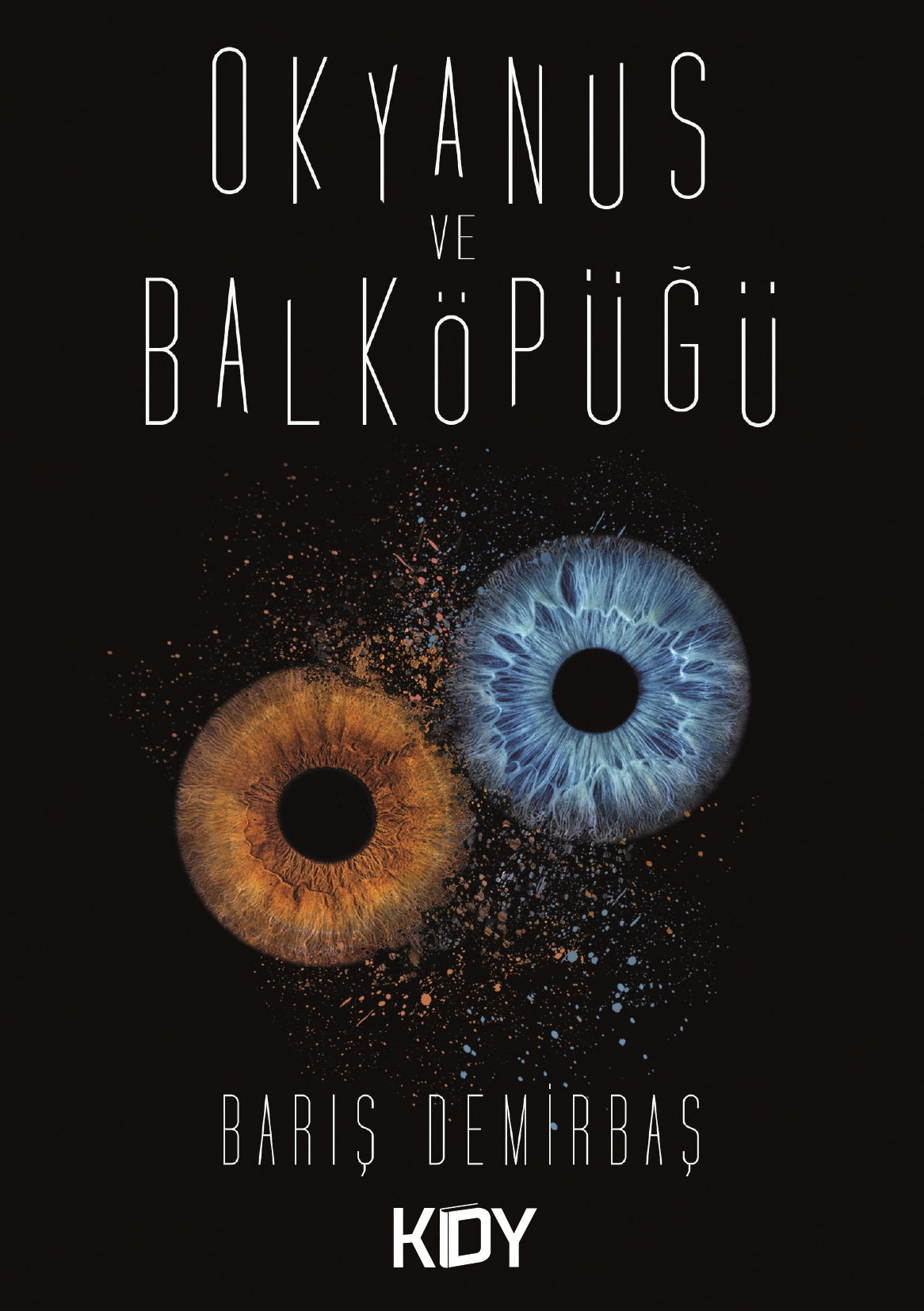 Okyanus ve Balköpüğü - Barış Demirbaş kitap kapağı