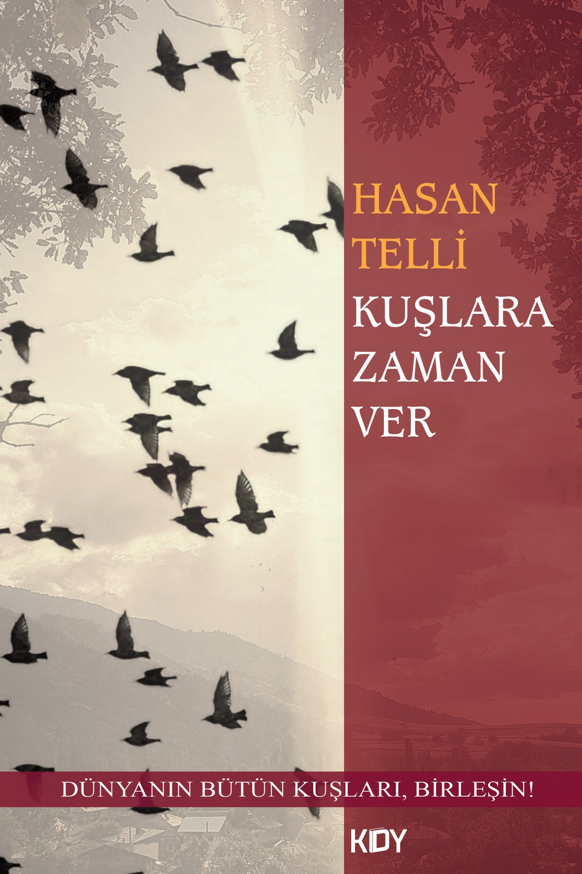Kuşlara Zaman Ver - Hasan Telli kitap kapağı
