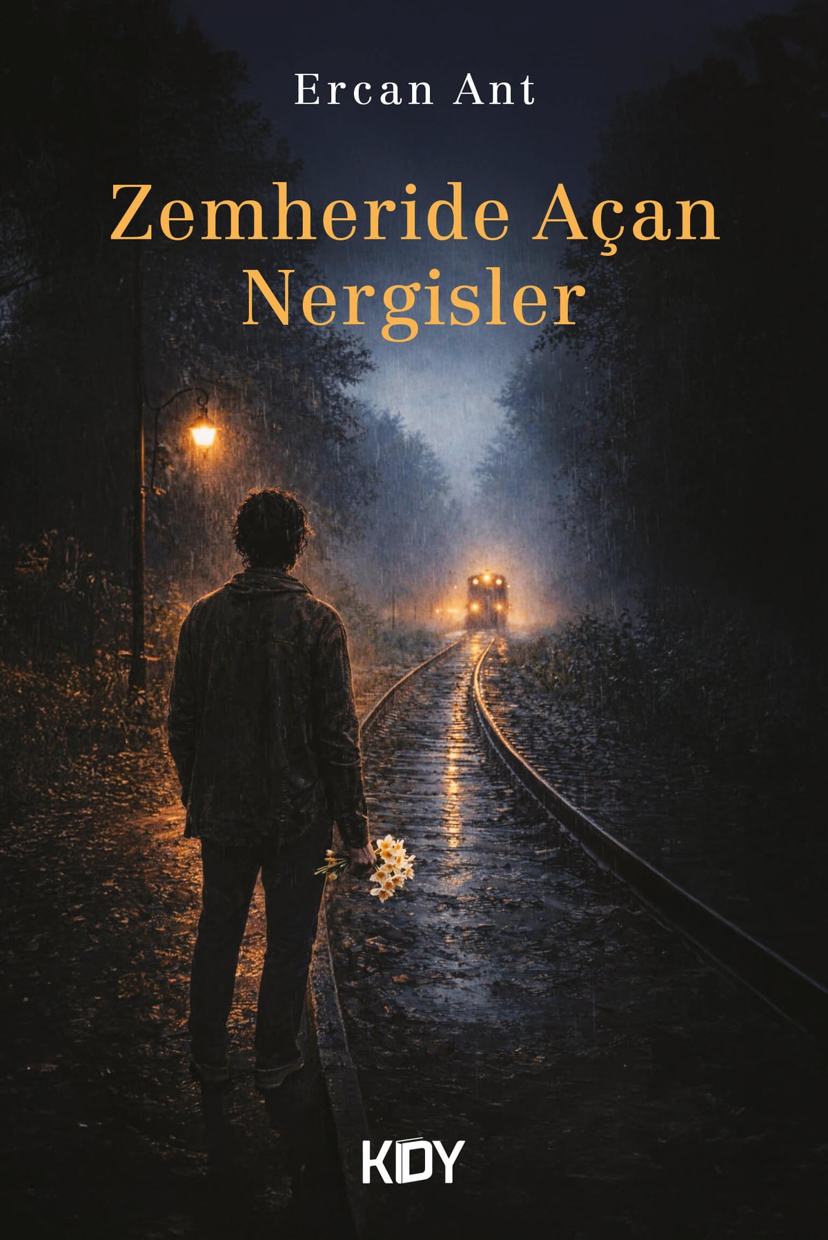 Zemheride Açan Nergisler - Ercan Ant kitap kapağı