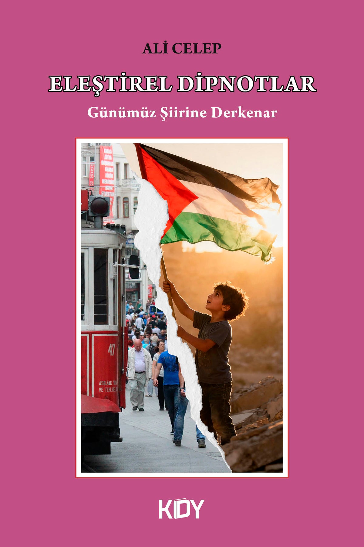 Eleştirel Dipnotlar - Ali Celep kitap kapağı