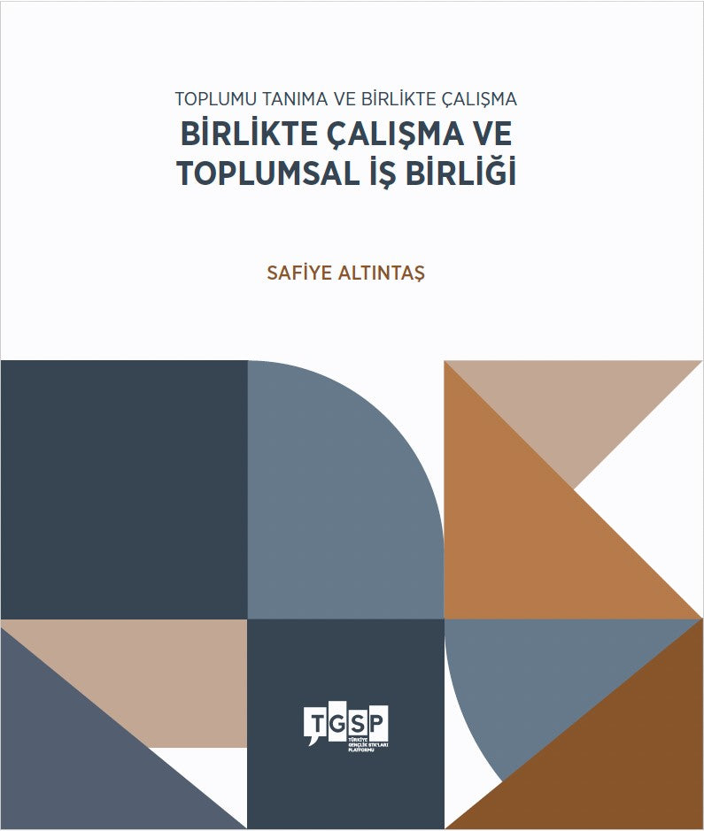 Birlikte Çalışma ve Toplumsal İş Birliği - Safiye Altıntaş kitap kapağı
