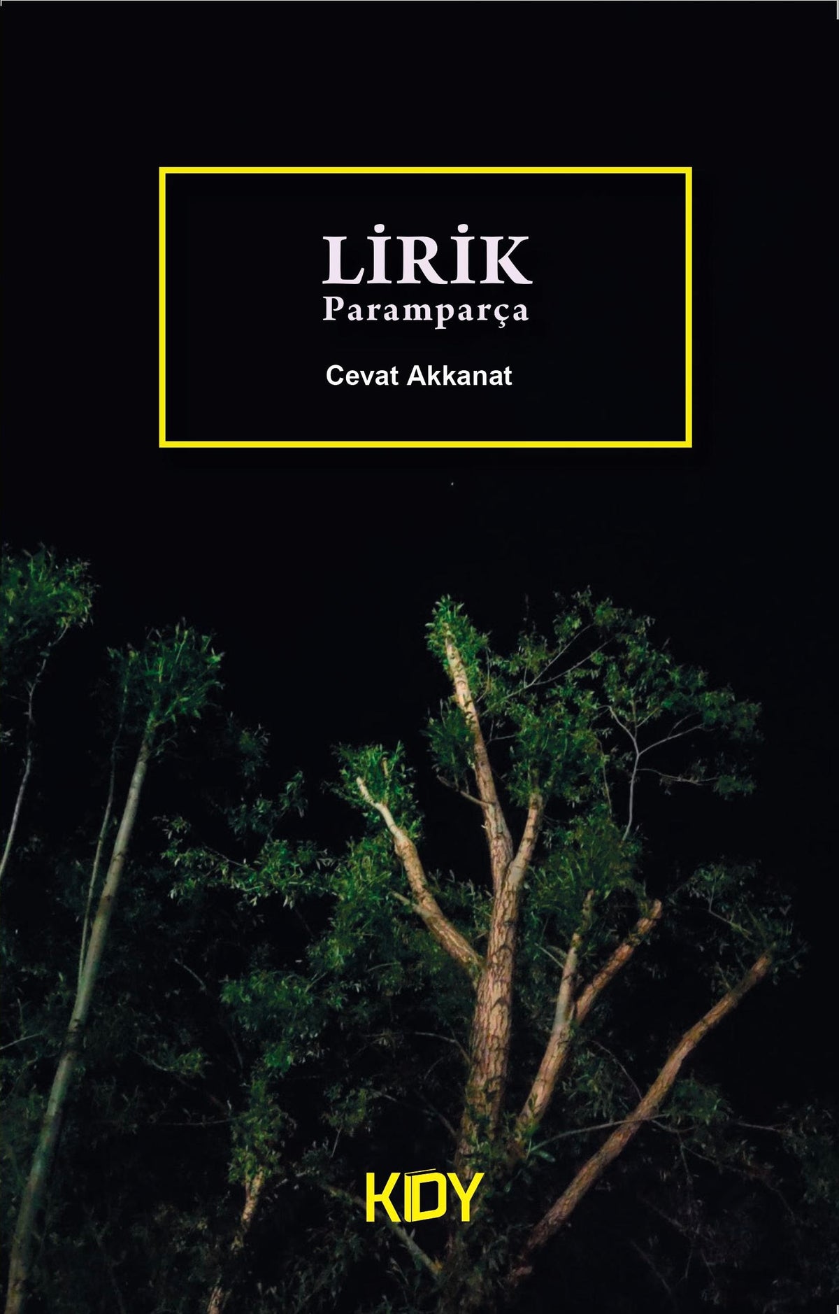 Lirik Paramparça - Cevat Akkanat kitap kapağı