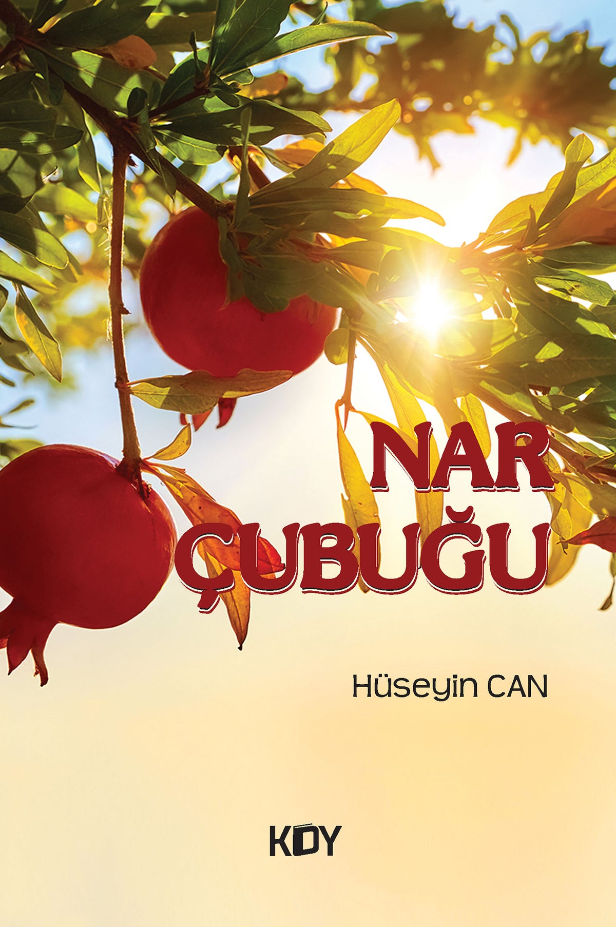 Nar Çubuğu - Hüseyin Can kitap kapağı