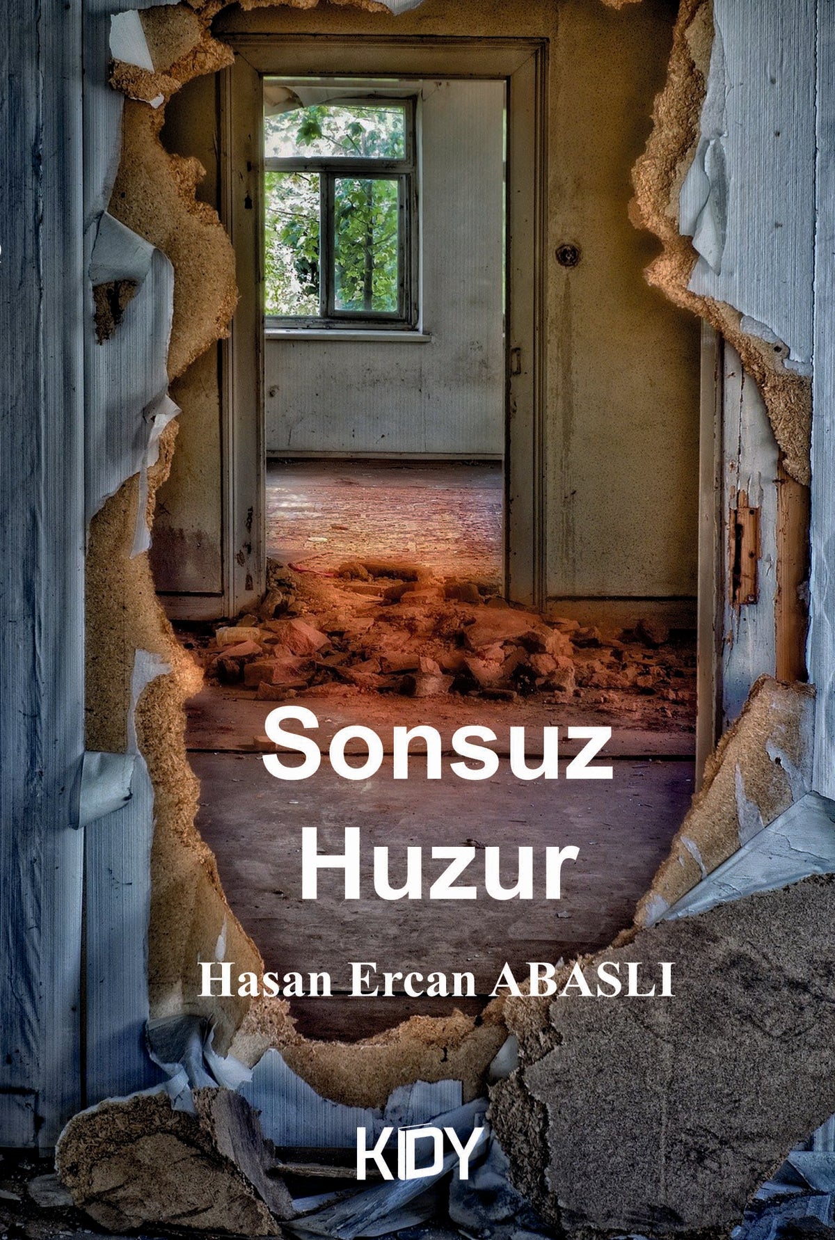Sonsuz Huzur - Hasan Ercan Abaslı kitap kapağı