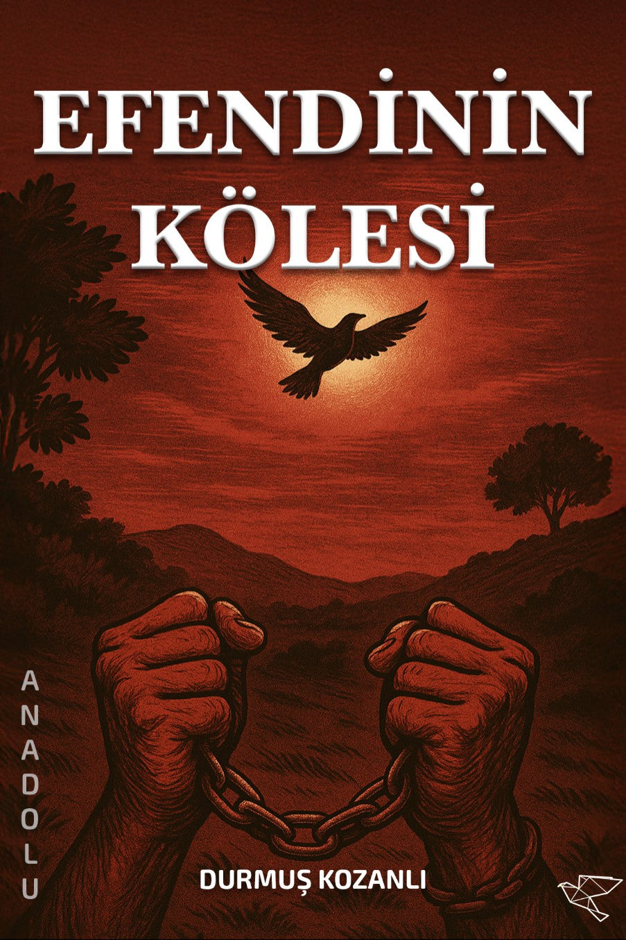 Efendinin Kölesi - Durmuş Kozanlı kitap kapağı