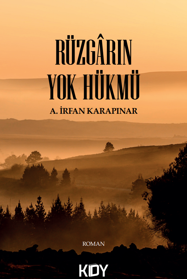 Rüzgarın Yok Hükmü - A.İrfan Karapınar kitap kapağı