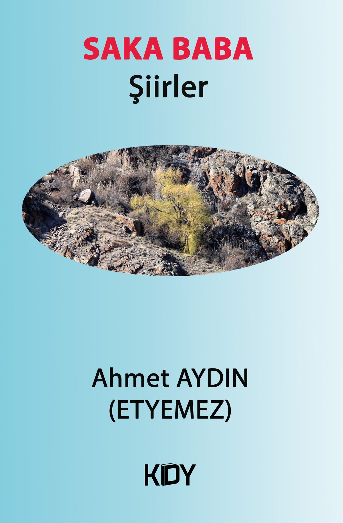 Saka Baba - Ahmet Aydın (Etyemez) kitap kapağı