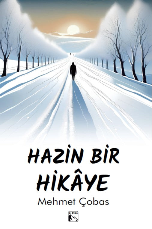 Hazin Bir Hikaye - Mehmet Çobas kitap kapağı