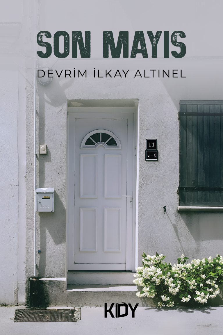 Son Mayıs - Devrim İlkay Altınel kitap kapağı