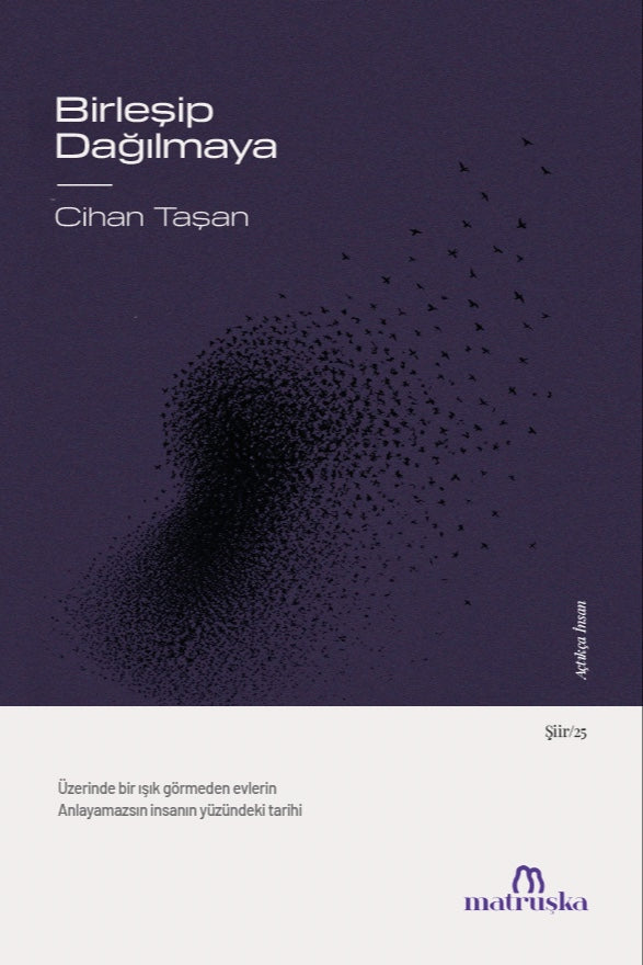 Birleşip Dağılmaya - Cihan Taşan kitap kapağı