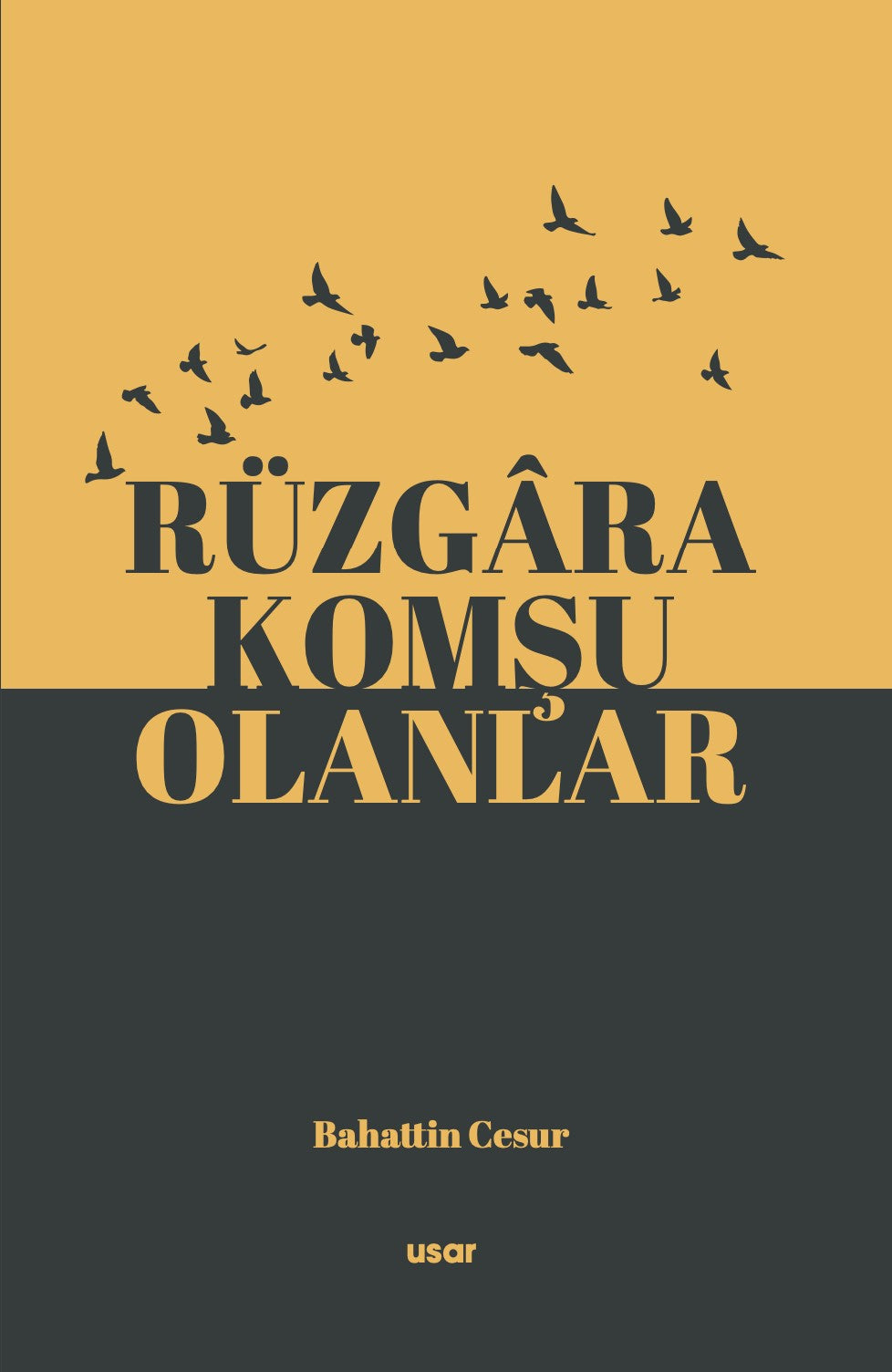 Rüzgara Komşu Olanlar - Bahattin Cesur kitap kapağı